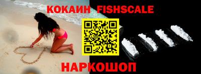 гашик Кинель