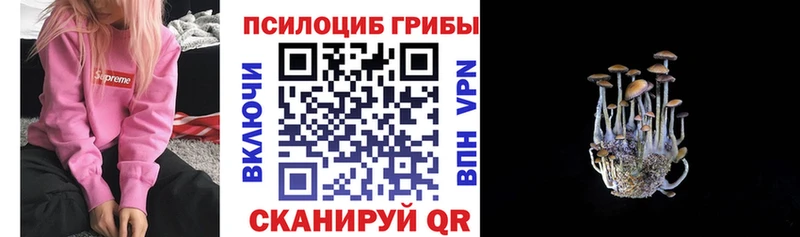 Галлюциногенные грибы GOLDEN TEACHER  Усть-Джегута 