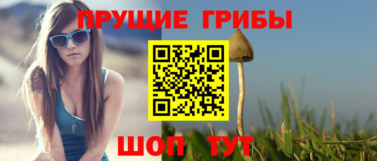 Галлюциногенные грибы Cubensis Усть-Джегута